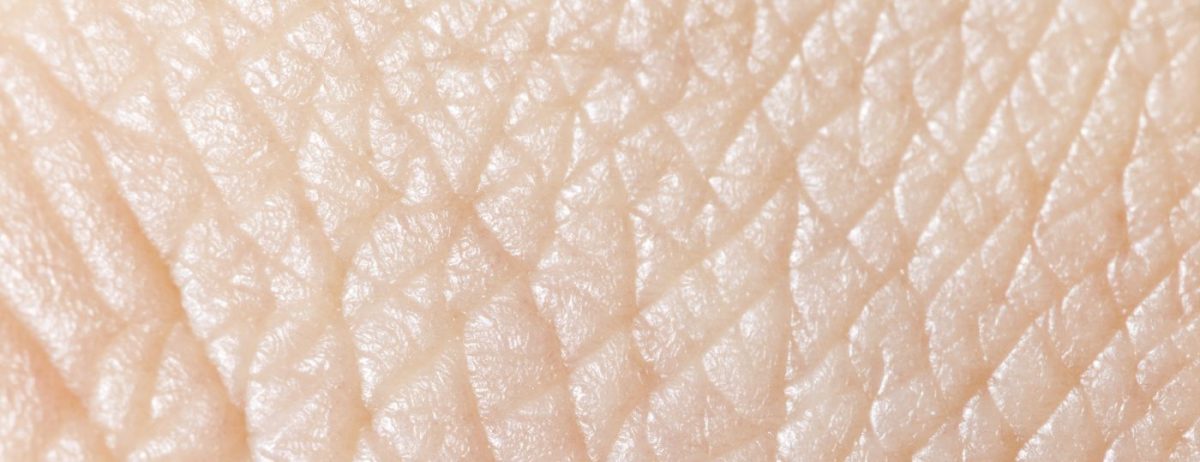 Human skin super macro texture