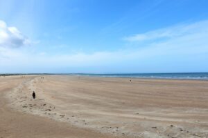 St Andrews West Sands Beach