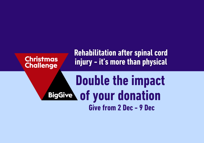 BIG give home banner