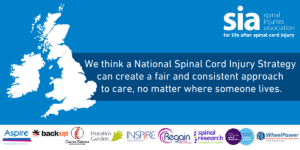 National SCI strategy web