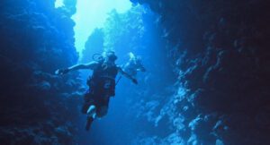 Shaun Gash diving (1)