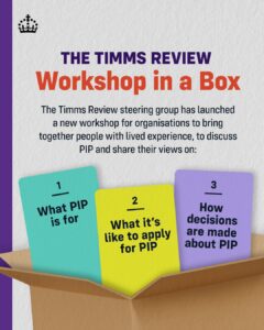 timms review workshop in a box