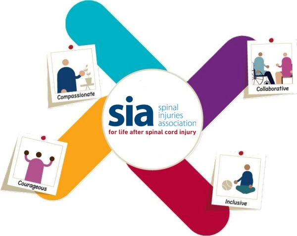 SIA Values graphic